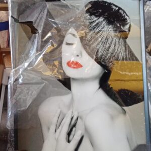 Beautiful African Sunset Scenery with Giraffe Pictures(already in kenya)