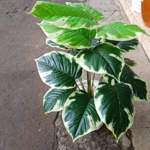 Foliage Artificial Plants+vase deco(Goods in Kenya)