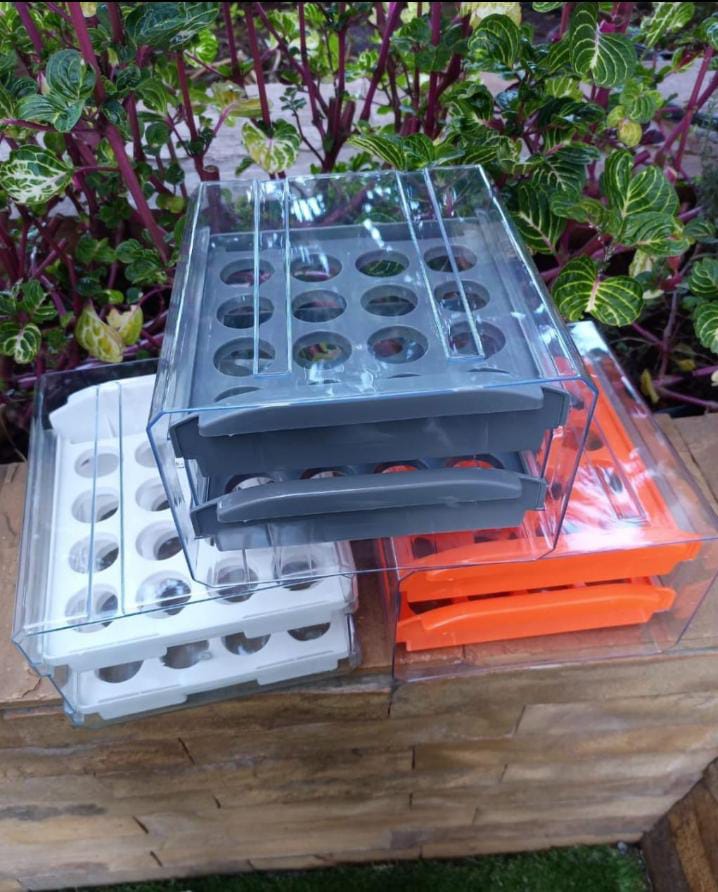 32 Grid Egg Tray Holder Double -Layer Fridge drawer storage (already in kenya)