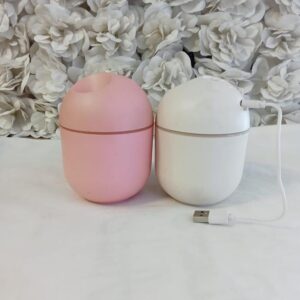 Multi function humidifier (already in kenya)