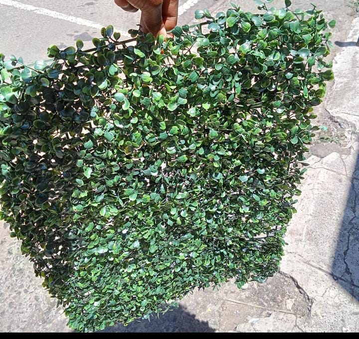 Green wall carpet (already in kenya)