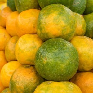 LOCAL ORANGES PER KG(Only in Nakuru)