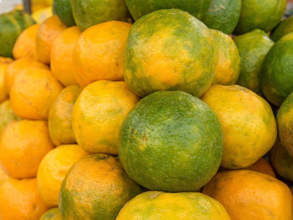 LOCAL ORANGES PER KG(Only in Nakuru)