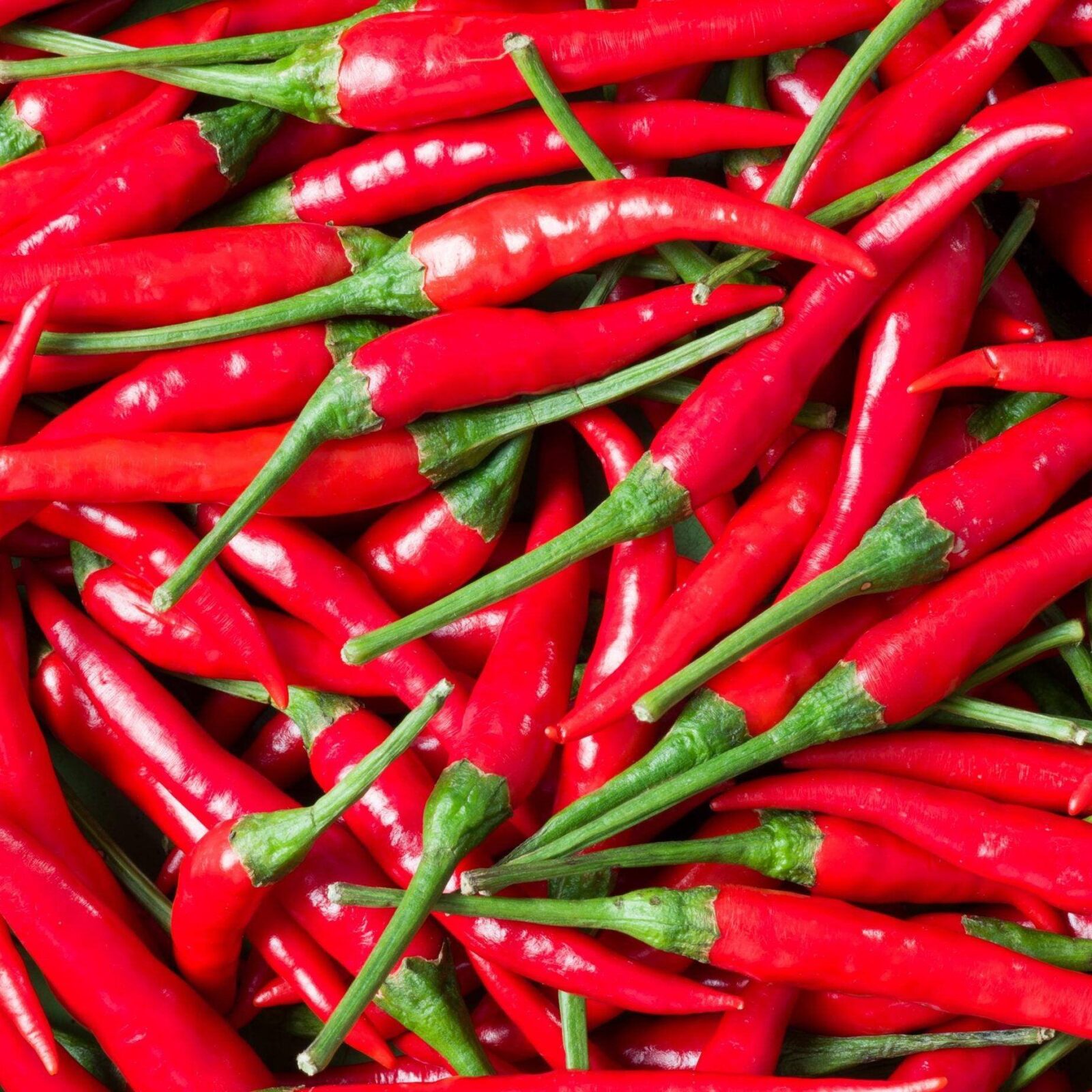 HOT PEPPER 1 KG (Only in Nakuru)