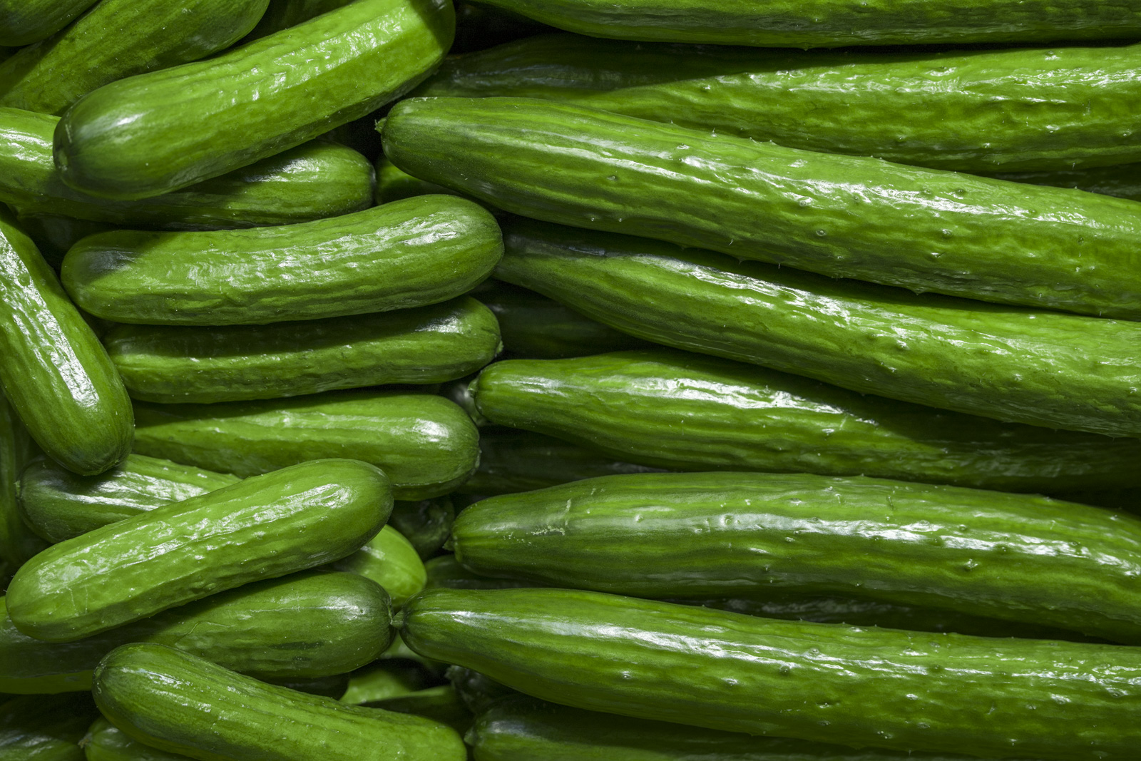CUCUMBER 1KG (Only in Nakuru)