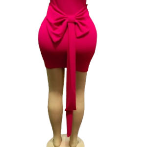 Sexy Sheer Mesh Women