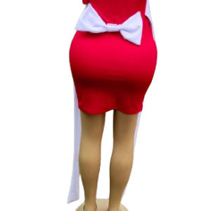 Elegant Dinner Dress