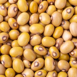 YELLOW BEANS PRICE PER KG (Only in Nakuru)