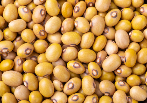 YELLOW BEANS PRICE PER KG (Only in Nakuru)