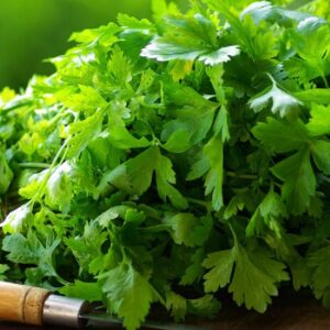 DHANIA  A SET OF 10 BUNCHES (Only in Nakuru)