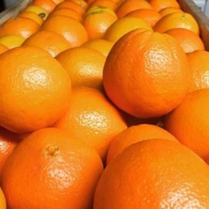 SEEDLESS ORANGES PER KG(Only in Nakuru)