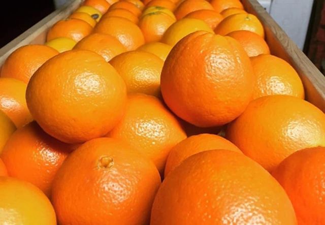SEEDLESS ORANGES PER KG(Only in Nakuru)