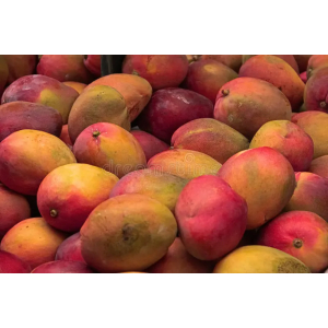 MANGOES TOMMY 1KG (Only in Nakuru)