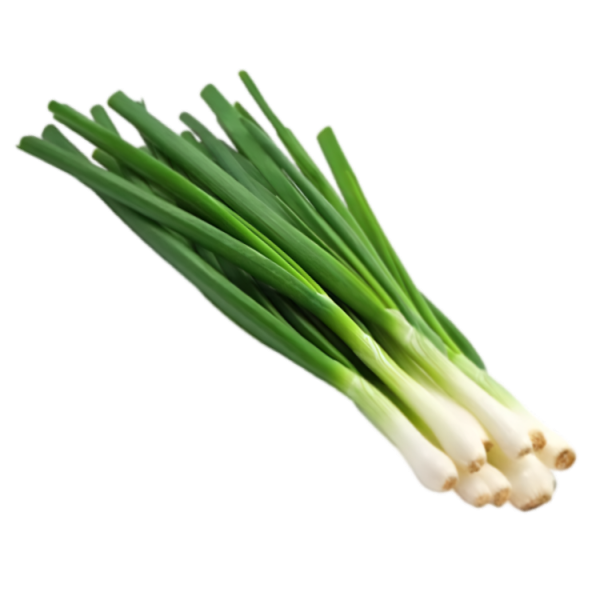 SALAD ONIONS 100G BUNCH (Only in Nakuru)